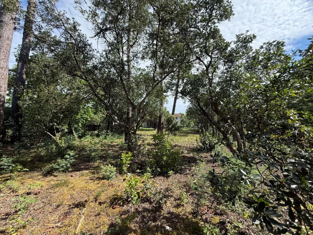 Terrain constructible CLAOUEY