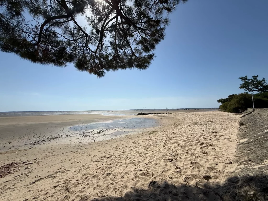 10-Plage de Taussat-T2 avec jardin-33138 LANTON_10_11zon_10_11zon